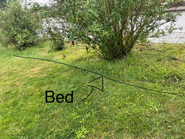 Fjernelse og lugning af ukrudt