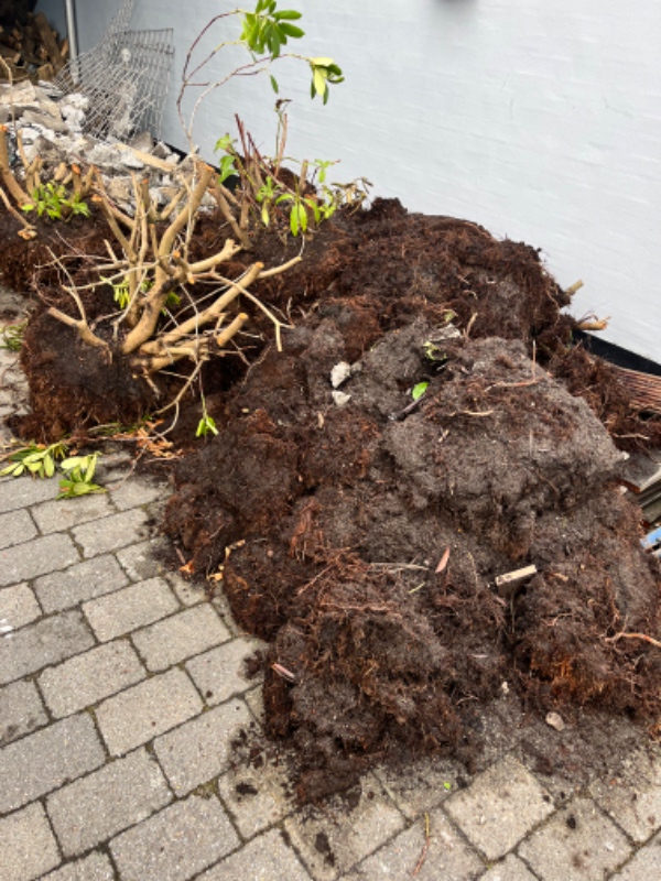 Bortskaffe store mænger affald efter fjernet terrasse og bed (sten, beton, jord, grus, rødder, træ)