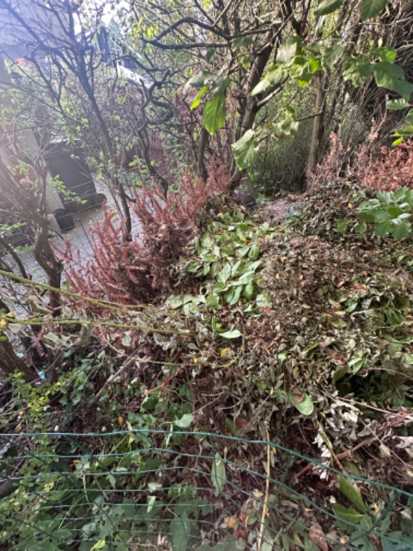 Bortførelse af haveaffald og beskæring af 2 frugttræer