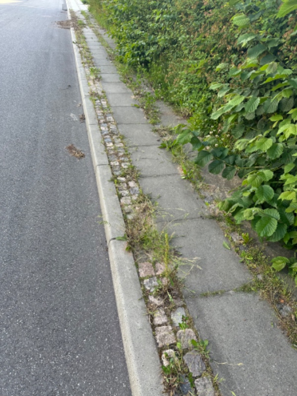 Rydning af ukrudt på fortov