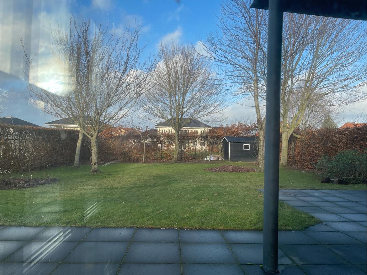 vi har masser af blade, der skal renses og pakkes i poser også det samme i omgivelserne af huset