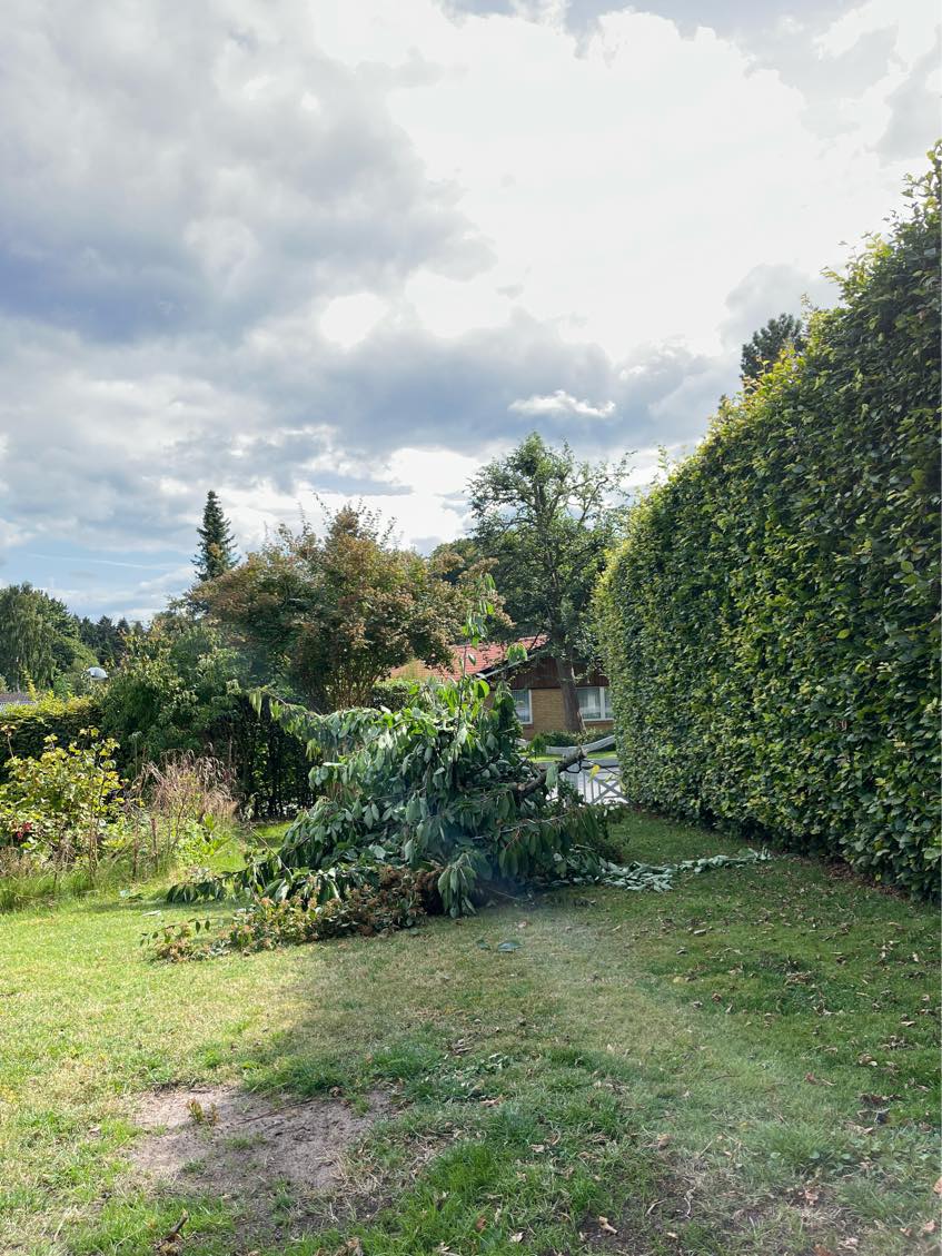 Køre haveaffald bort