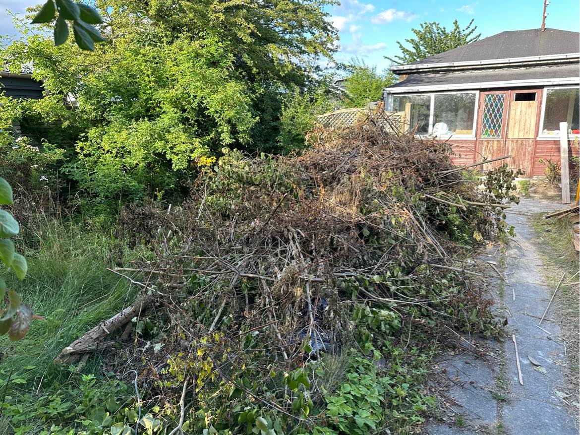 Fjernelse af haveaffald og træ
