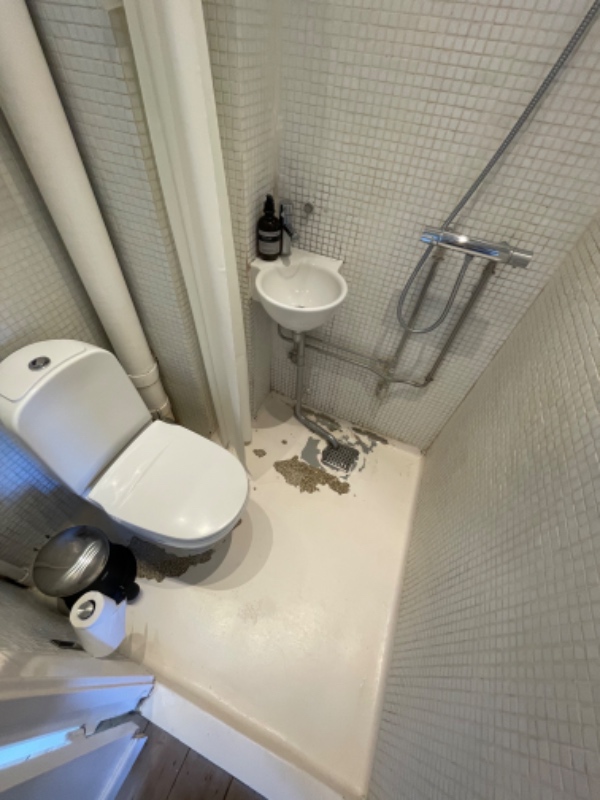 Renset gulv, fjernet maling, evt ny hvid maling