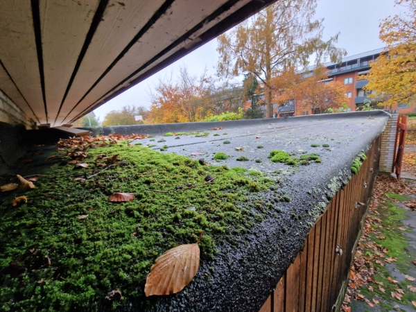 Fjernet mos fra tag over en ejerforenings skure (kræver faktura udskrivelse)