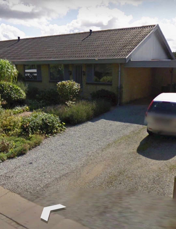 Fjernelse af en masse ukrudt + beskæring af træer/buske