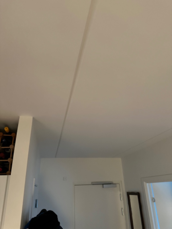 Ophængning af Phillips Hue lampe