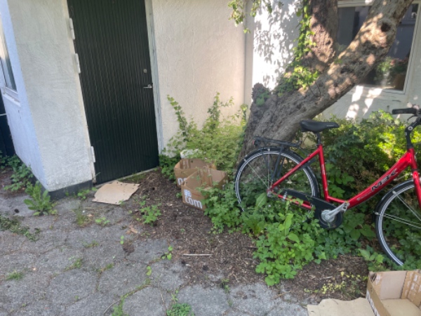 Lugning og fjernelse af efeu