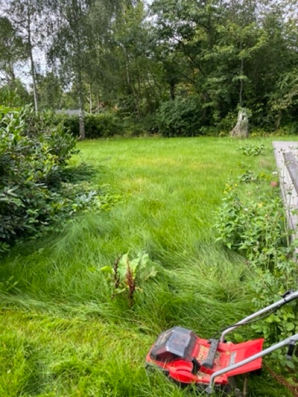 Klippe Græsplænen