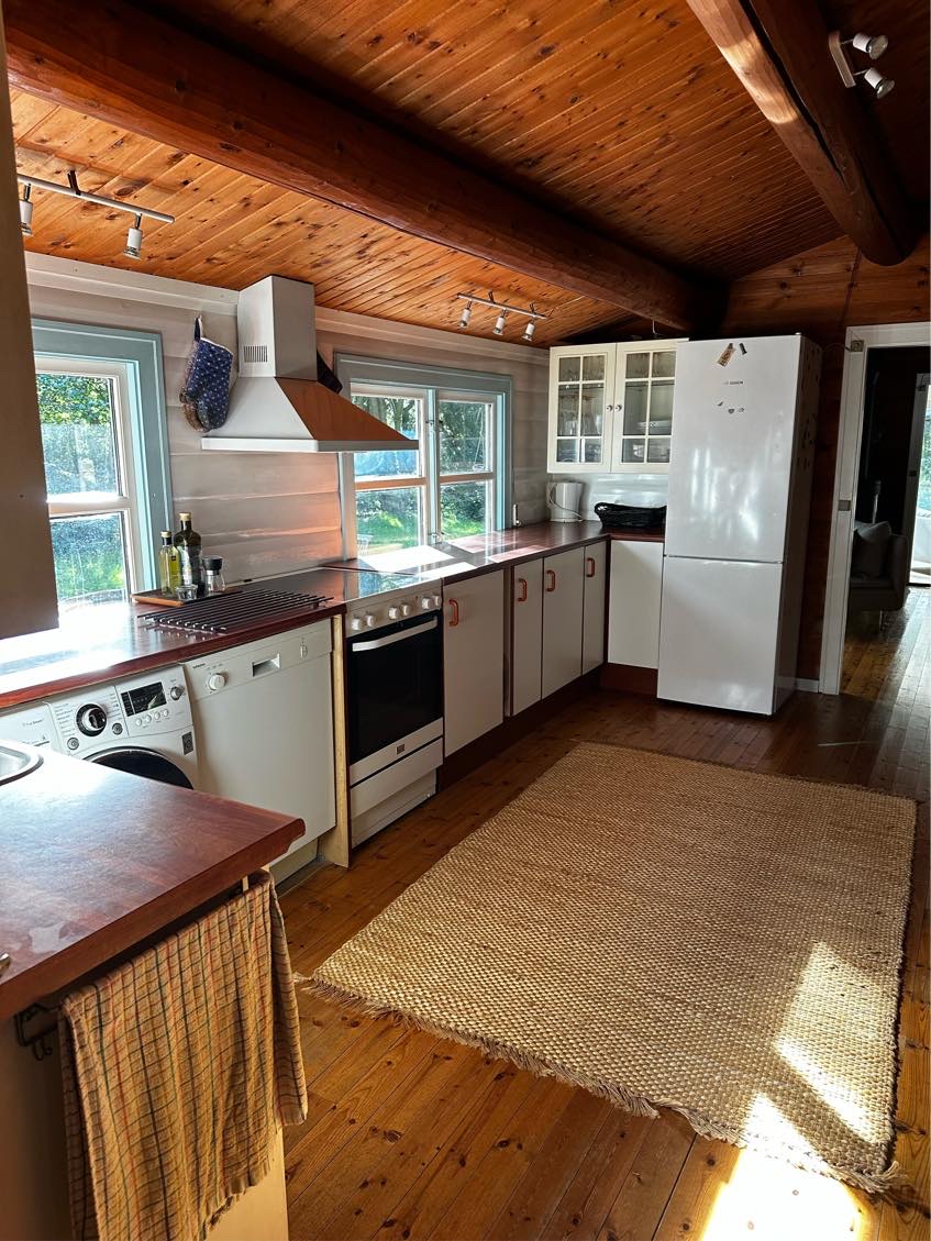 Nedrivning og bortkørsel af køkken