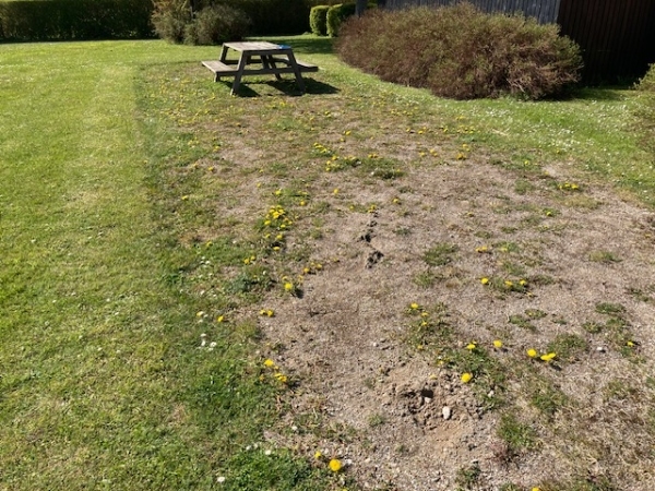 Renovering af petanquebane