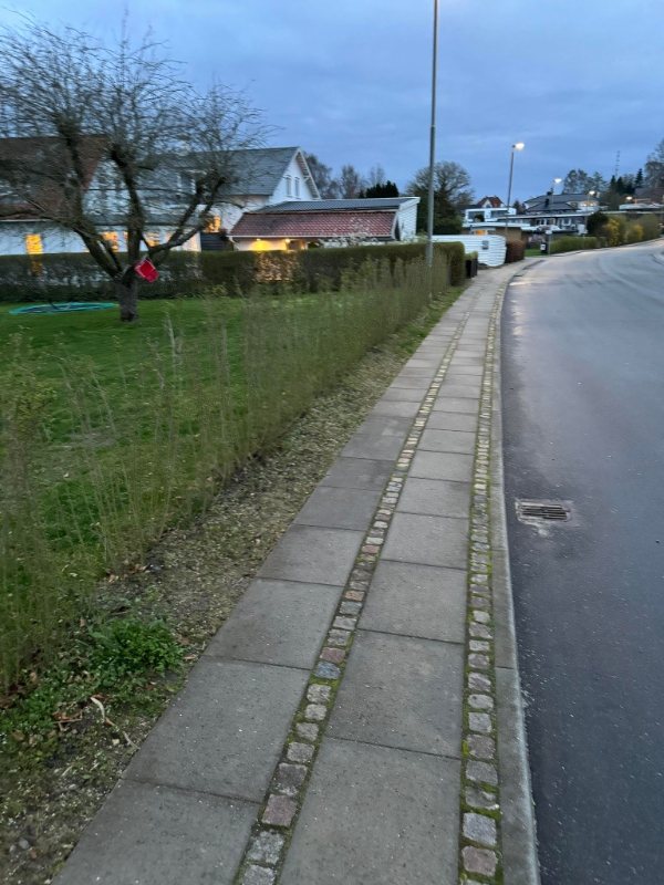 ukrudt i hæk og ude foran