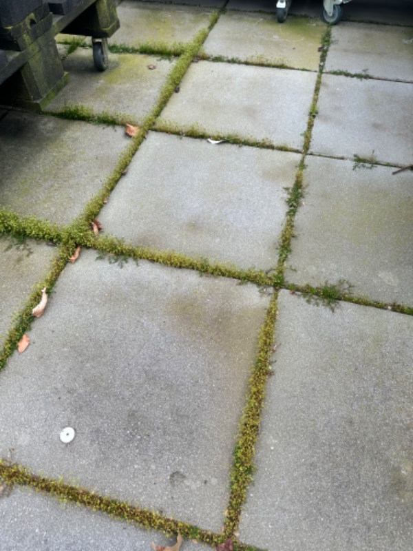 Pleje og vedligehold