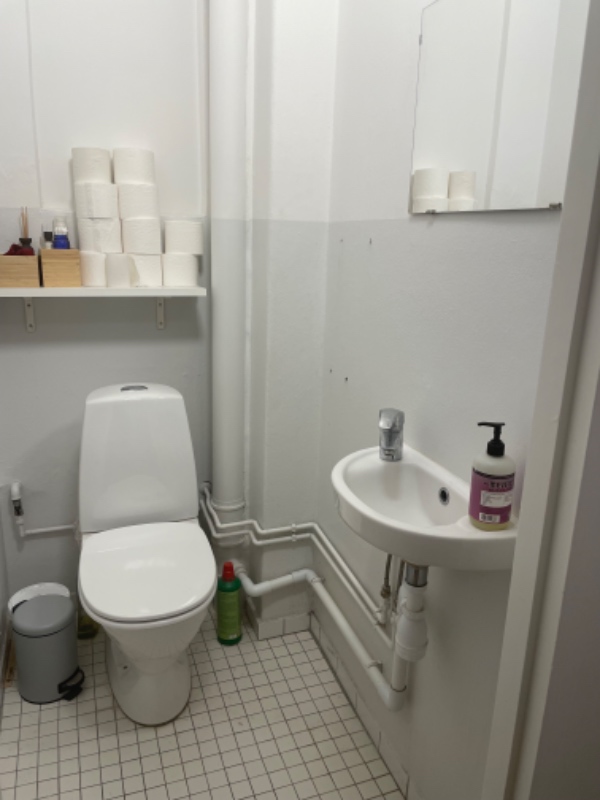 Maling af lille toilet