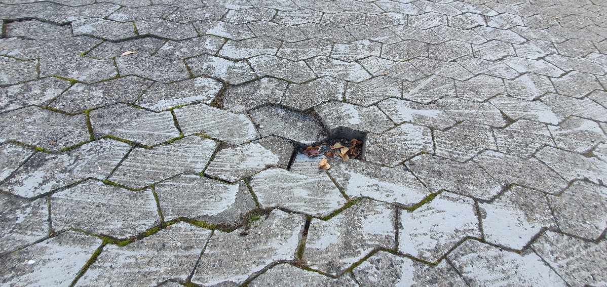 Genetablering af indkørsel