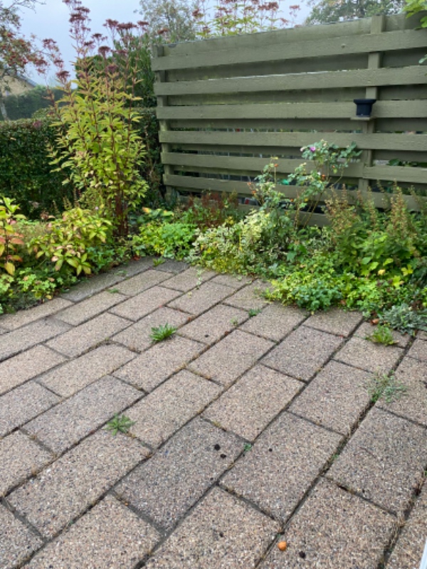 Pleje og vedligehold