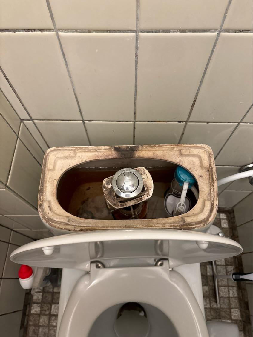 Toilet flush (VVS)