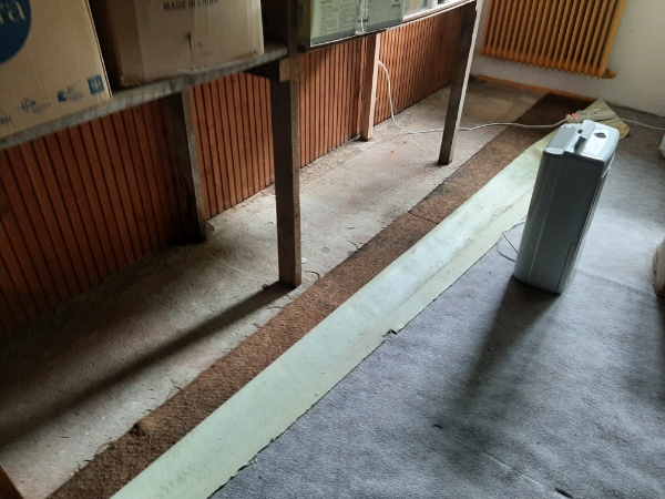 28 kvm kælderrum med gulvtæpper skal skære af og bæres op af kælderen pga. vand i kælderen.