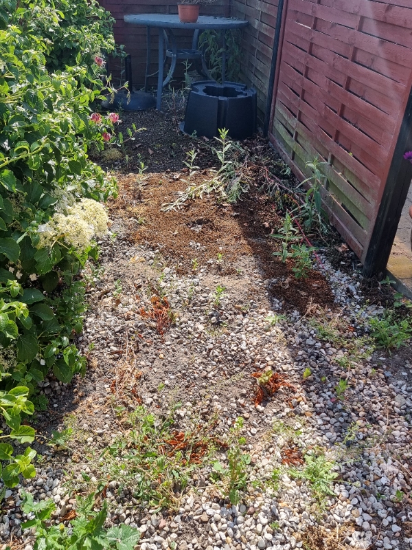 Hjælpe til ukrudt på terrassen og have