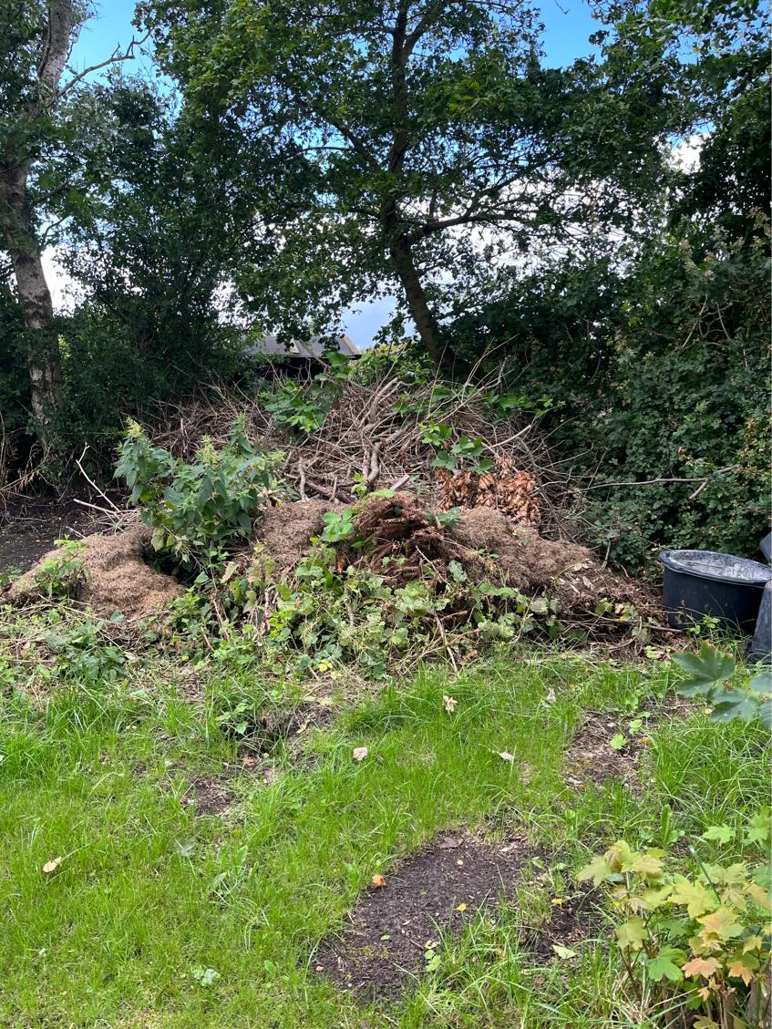 Bortskaffelse af jord og grene