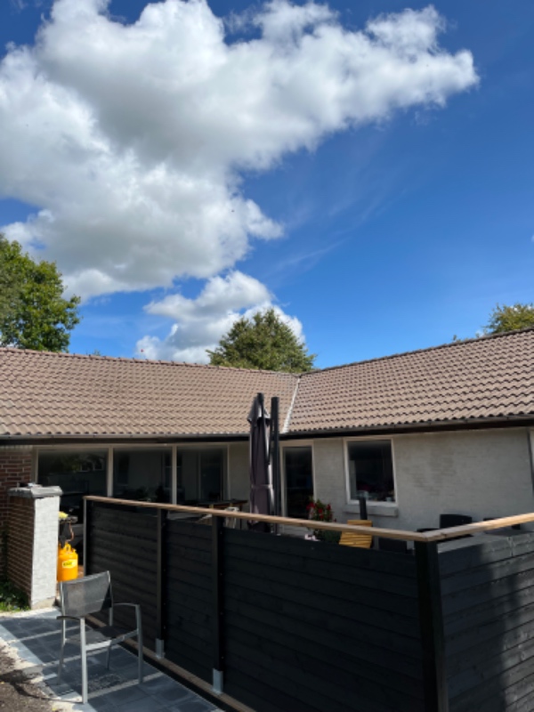 Rens og maling af tag