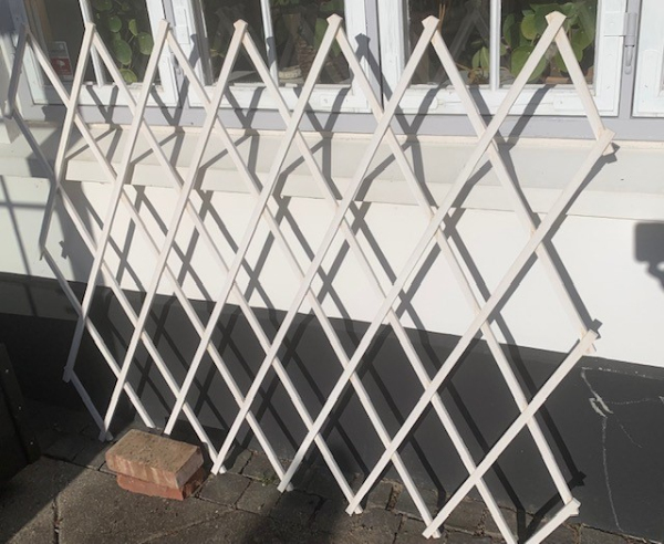 Muring og opsætning af espalier