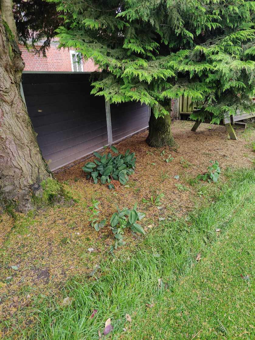 Vedligehold af blomsterbede