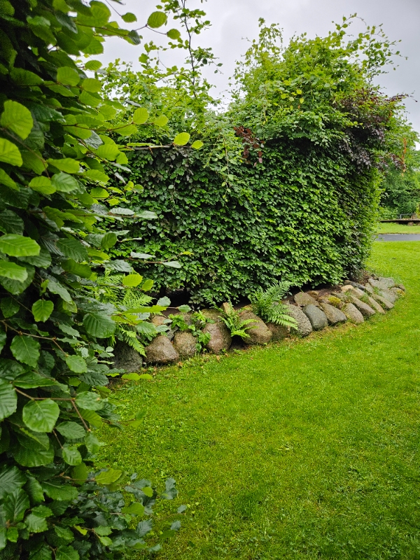 Hækklipning og beskæring