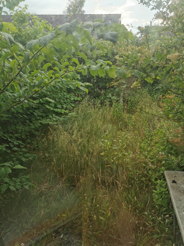 et frimærke af en lille have trænger virkelig