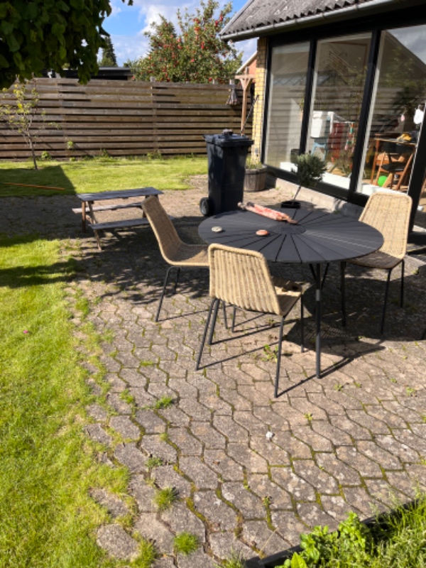 Rydde havestykke og gøre klar til græssåning