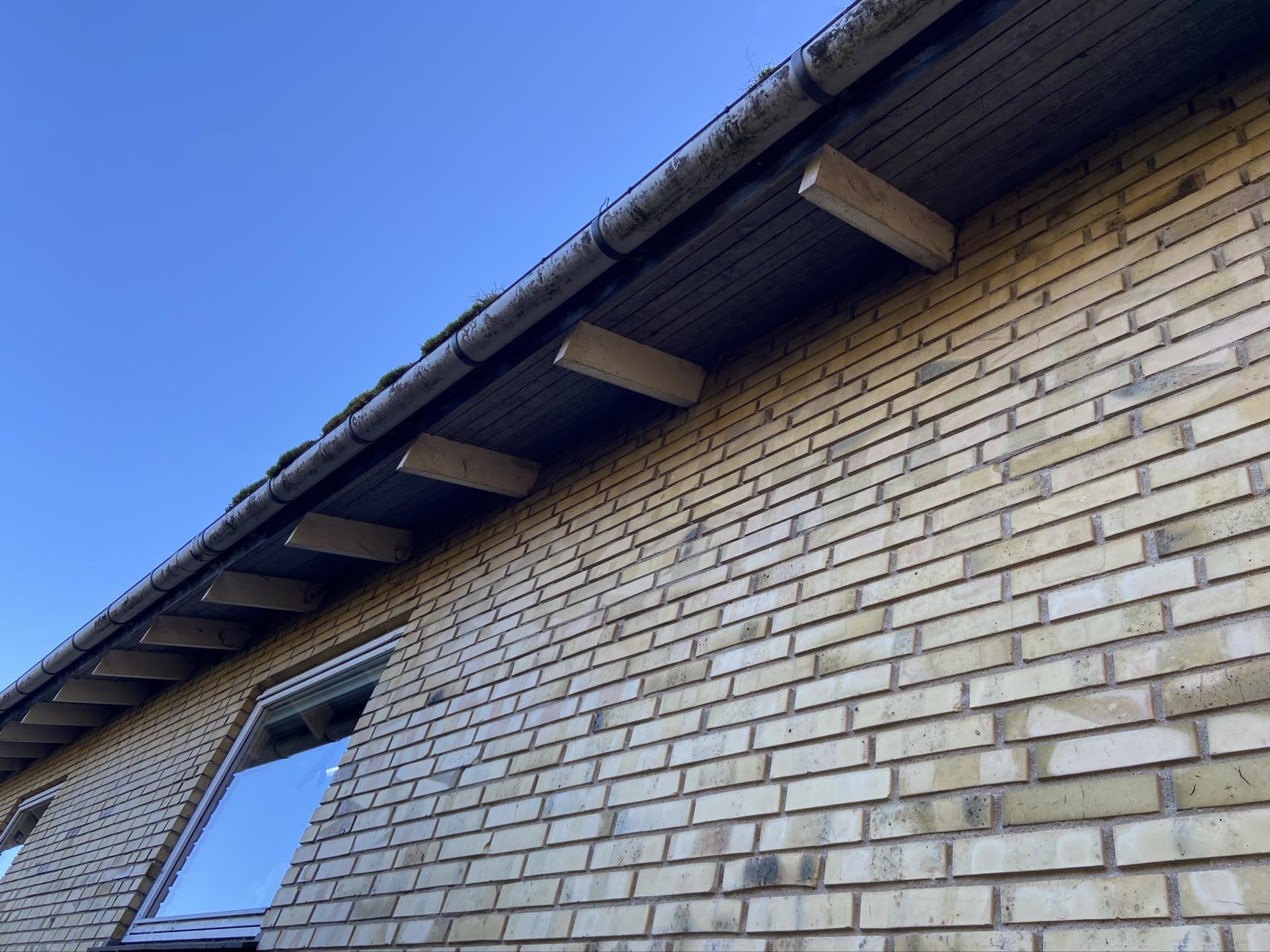 Opsætning af net langs tagskæg der skal forhindre fuglereder