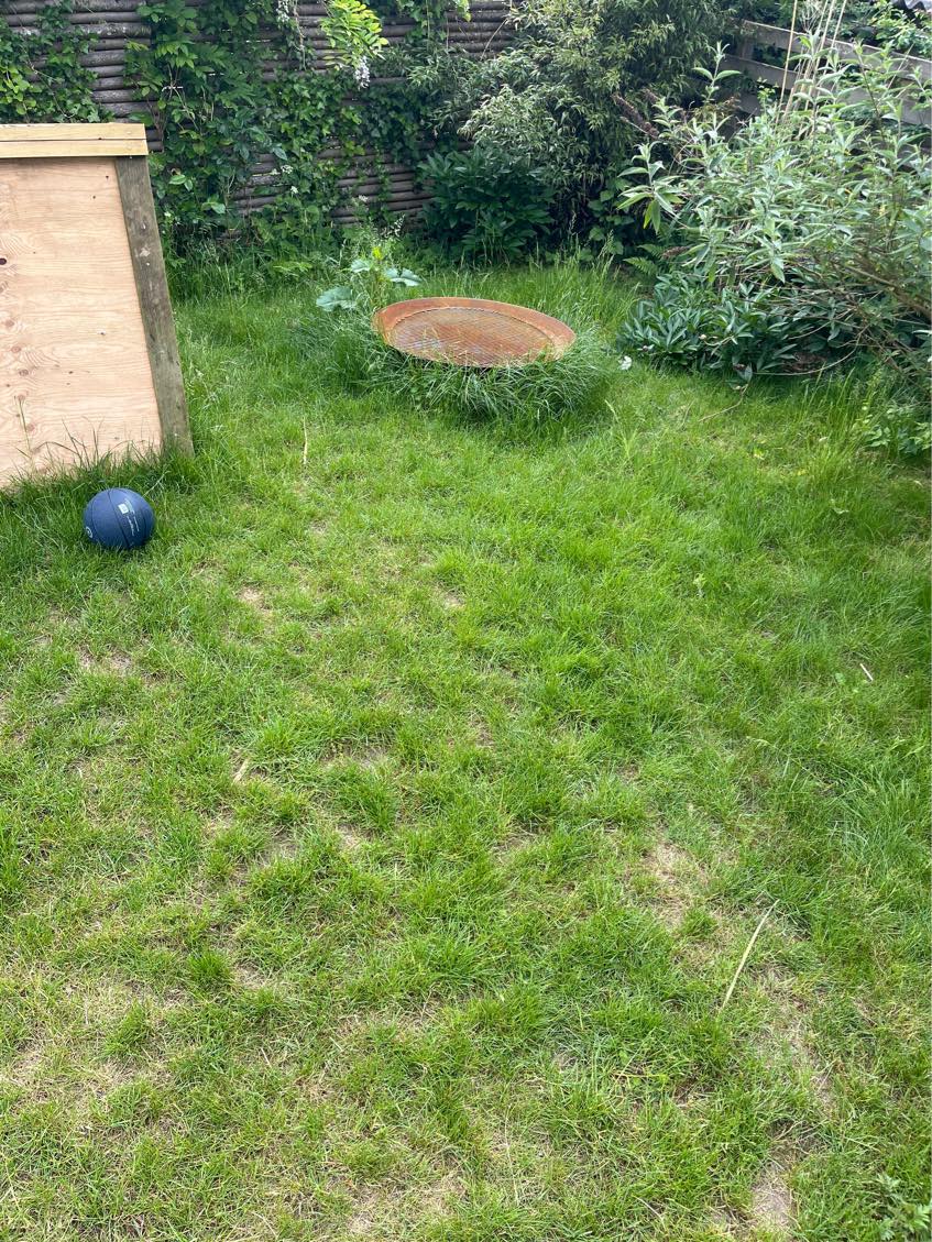 Nedgravning af trampolin