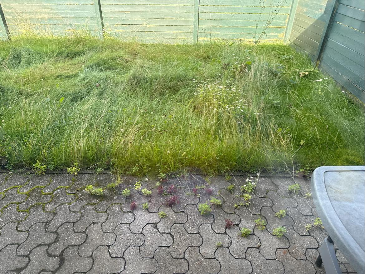 græsslåning af haven