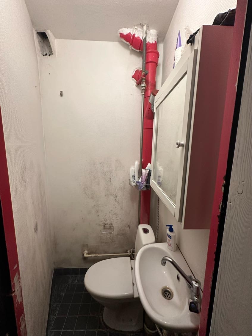 Fjerne gammel tapet/skimmelsvamp. Påfør vådrumsmembran derefter klinker på vægge.