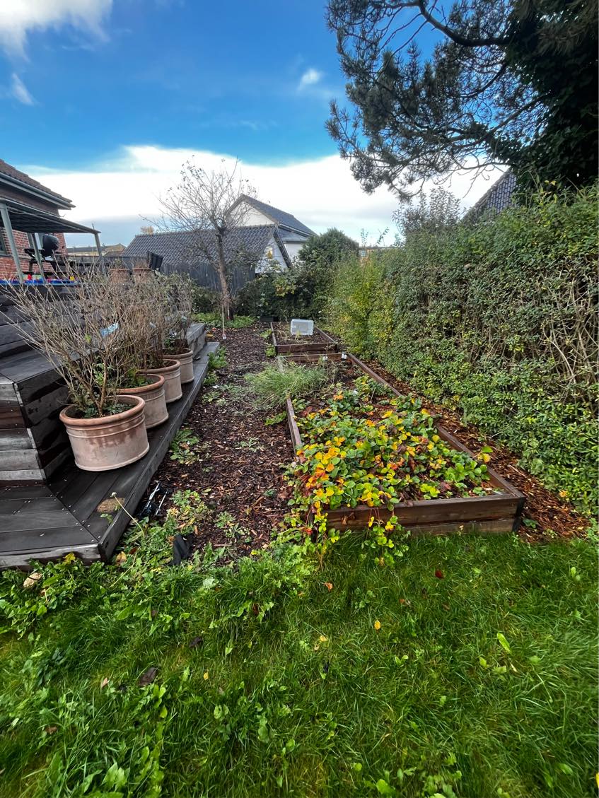 Klargøring af have til salg af hus