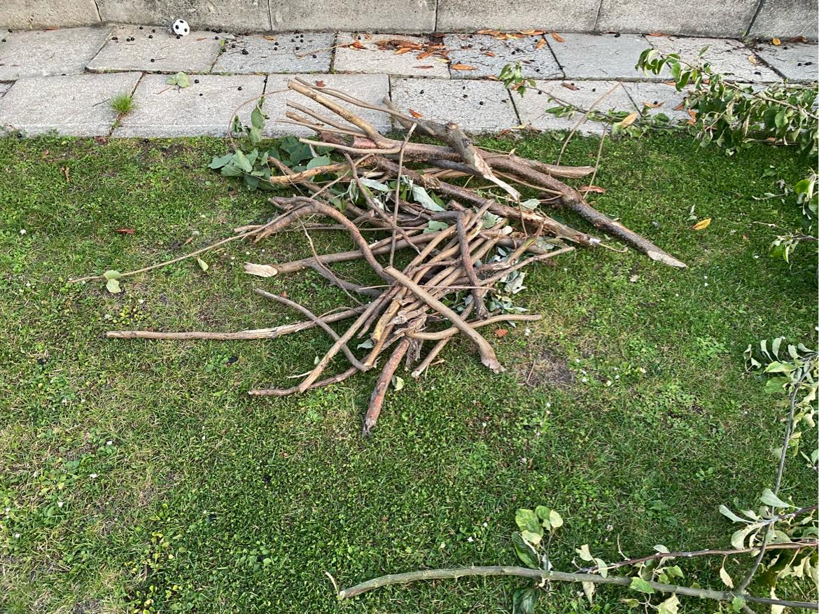 Bortskaffelse af haveaffald