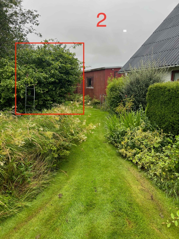 Hæk- og buskklipning samt trætopkapning