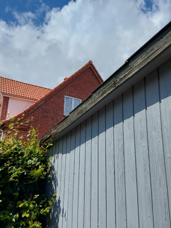 Reparation af træt skur. Male skur, Stern på hus