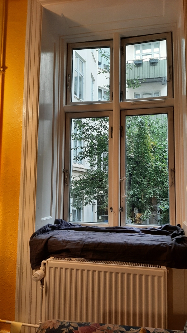 Maling af indvendige rammer om vinduesglasset