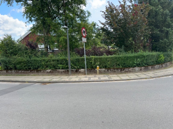 Klipning af blandede hække.