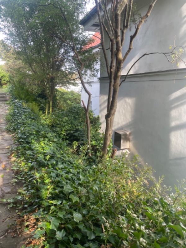 Fjerne ukrudt og nedklipning