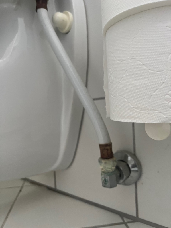 Udskiftning af 2 Gustavberg WC - er hjemkøbt.