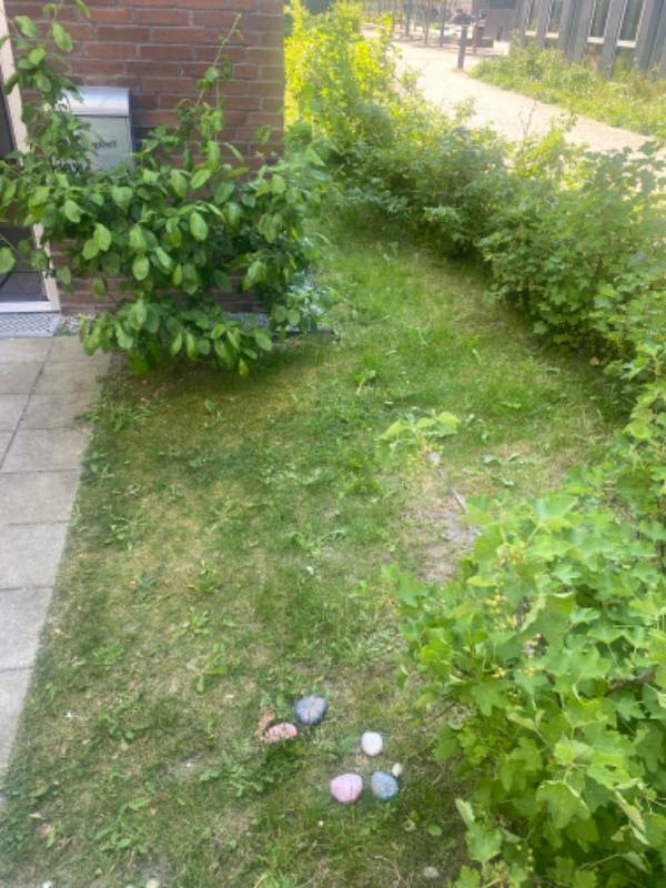 Fliselægning i have