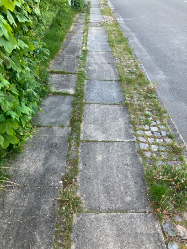 Fjernelse af fortoveukrudt