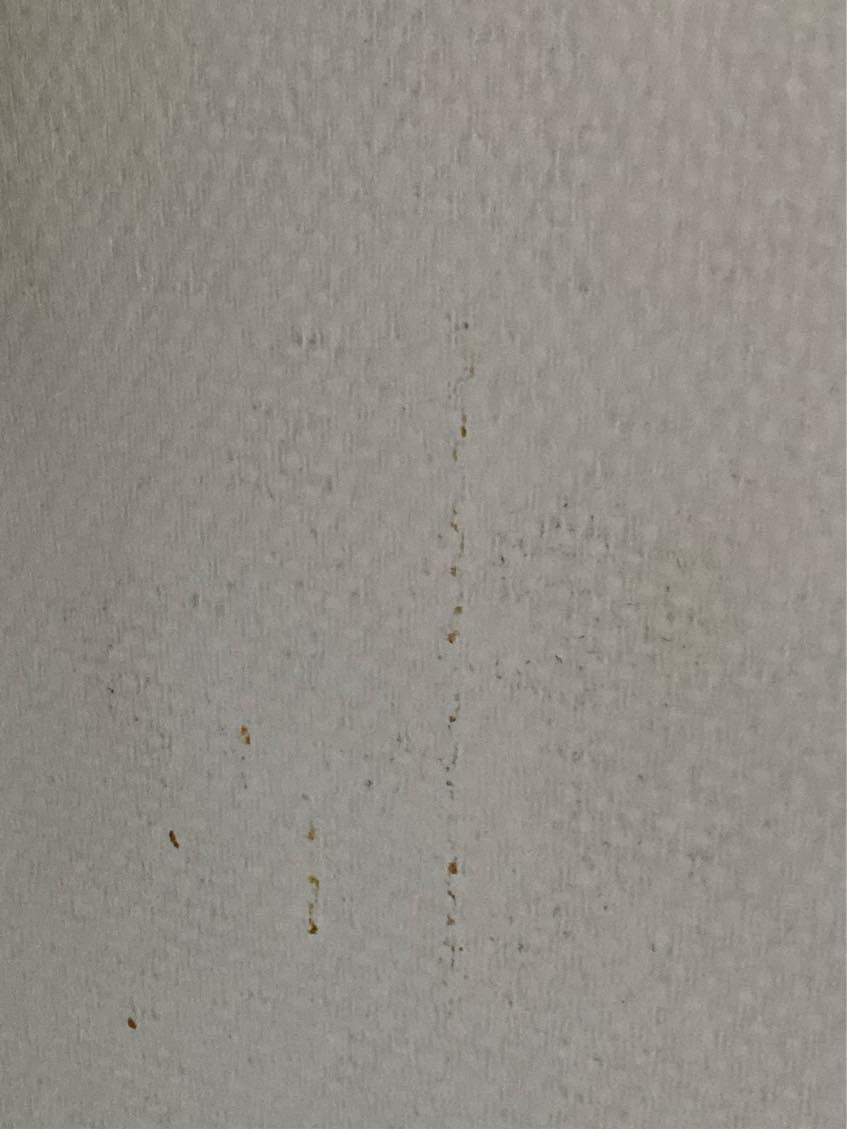 Pudsning af vægge på 3-4 kvm badeværelsesvægge samt maling 2 lag derefter.