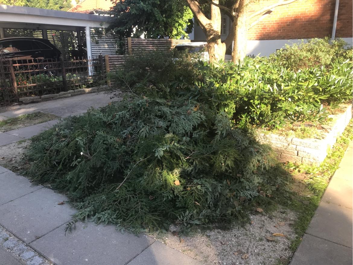 Kørsel af grenaffald.