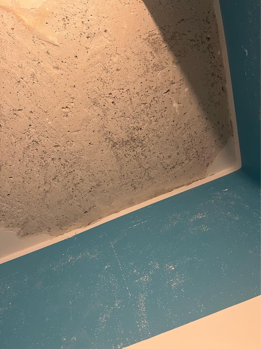 Spartle og male vægge og loft i badeværelse