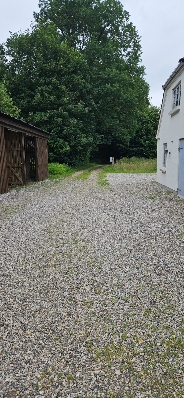 Fjerne ukrudt på gårdsplads