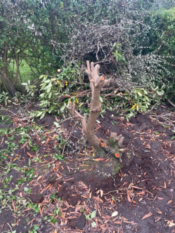 Nedgravning af trampolin