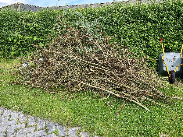 Bortkørsel af haveaffald og grill